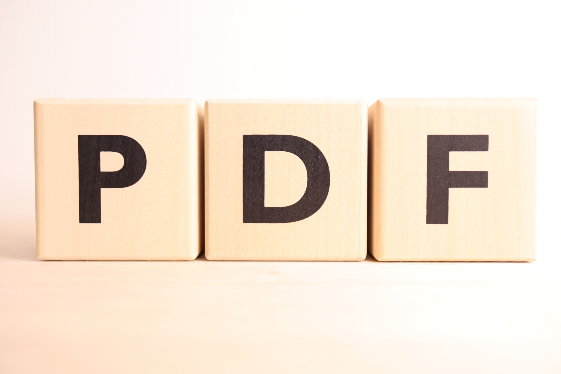 PDFのイメージ