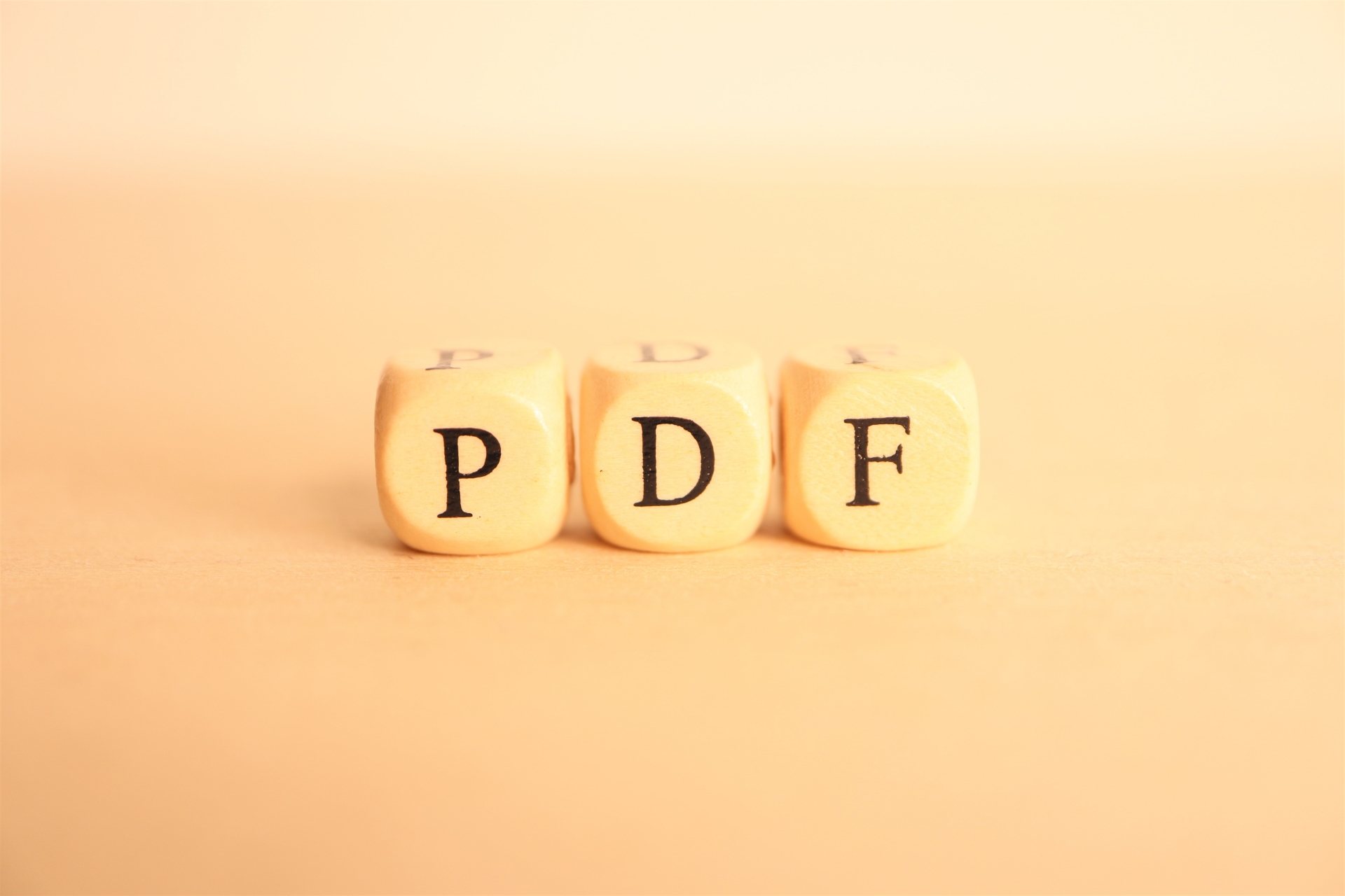 PDFのイメージ